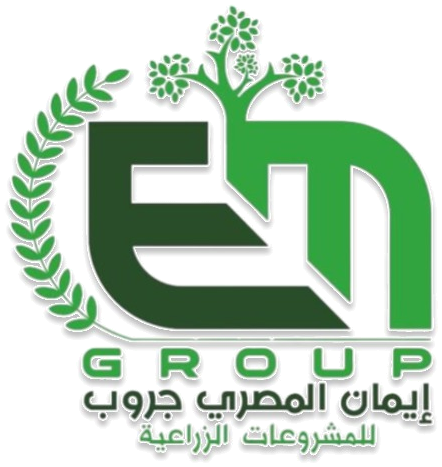 مجموعة إيمان المصري